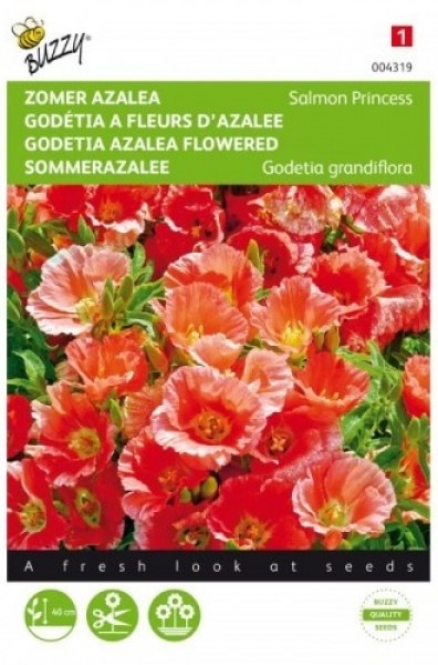 0043190 Godetia Salmon_500x500